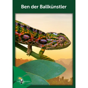 Opal Regenwald 17 Ben der Ballkünstler # 11106 6ply 150gr
