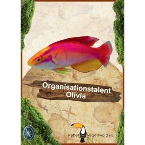 Opal Regenwald 18 Organisationstalent Olivia # 11205 4ply 100gr