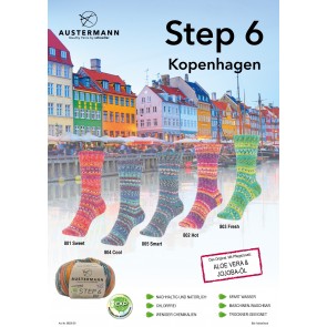 Austermann Step 6 Copenhagen # 801 *6ply